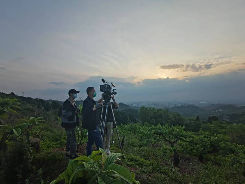 创意破圈！博爱县电商产品宣传视频用故事化叙事引爆流量