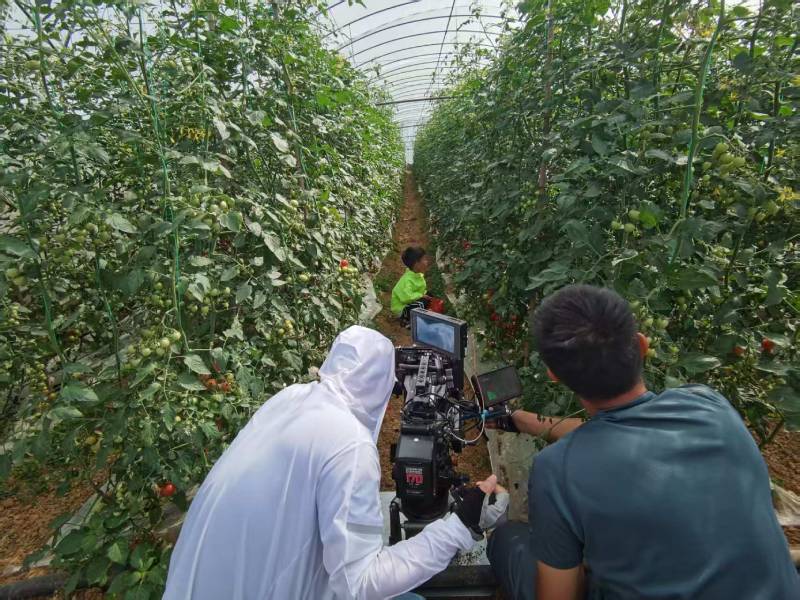 博爱县产品宣传视频拍摄公司进阶指南，助力品牌抢占传播高地